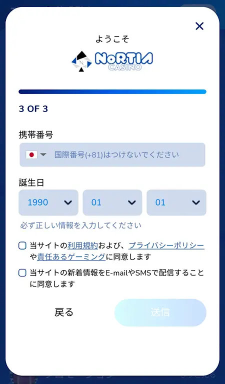 ノルティアカジノ登録画面③